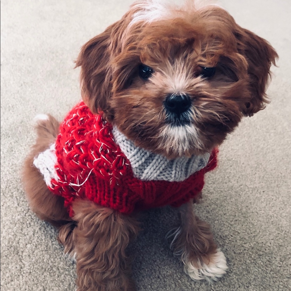 Meet your Posher, Megan